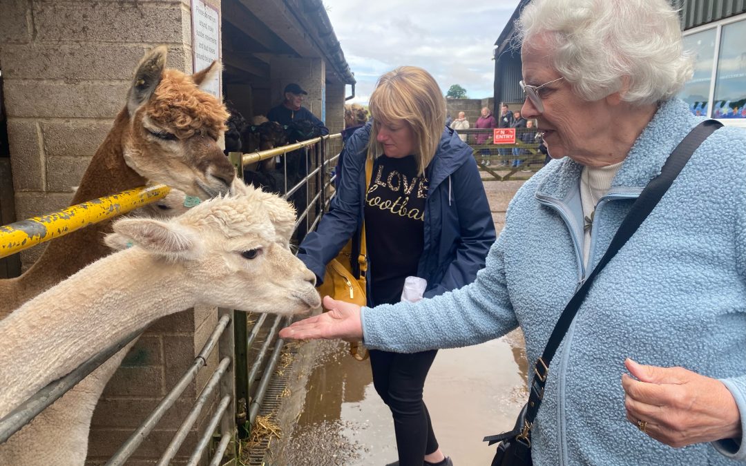 Alpaca Adventures: Rain did not stop us visiting